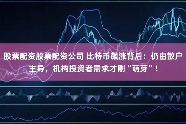 股票配资股票配资公司 比特币飙涨背后：仍由散户主导，机构投资者需求才刚“萌芽”！